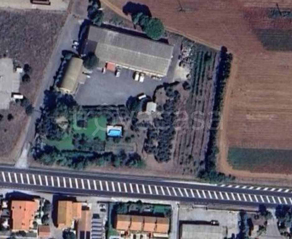 immagine annuncio 10 di 11