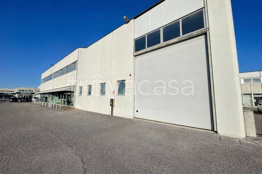 immagine annuncio 2 di 7