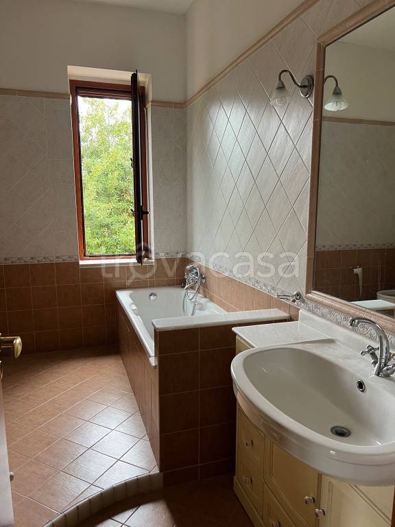 immagine annuncio 8 di 14