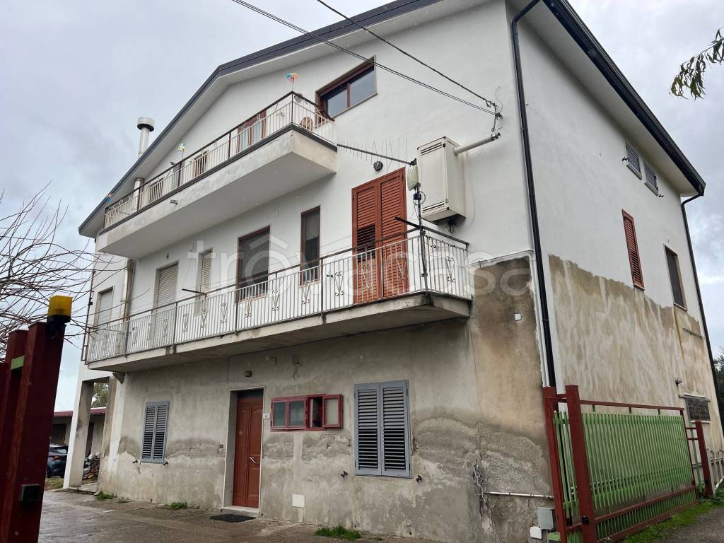 immagine annuncio 2 di 14