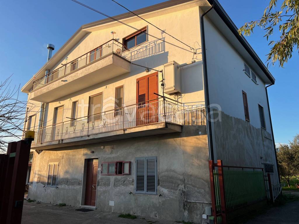 immagine annuncio 11 di 14