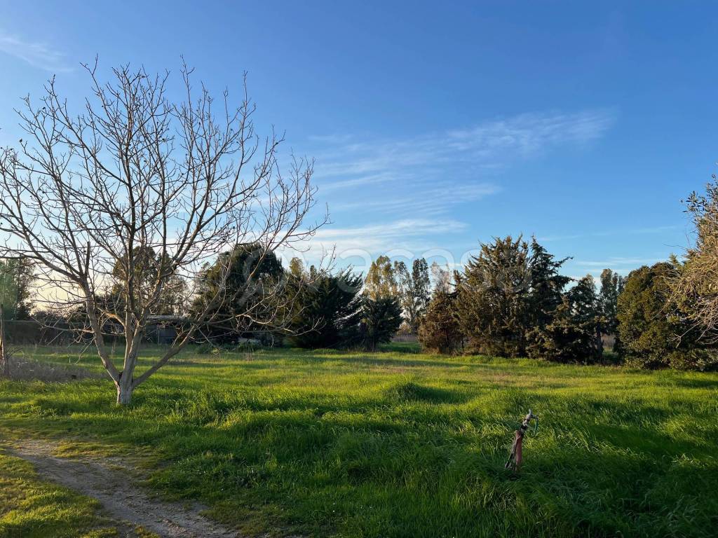 immagine annuncio 12 di 14