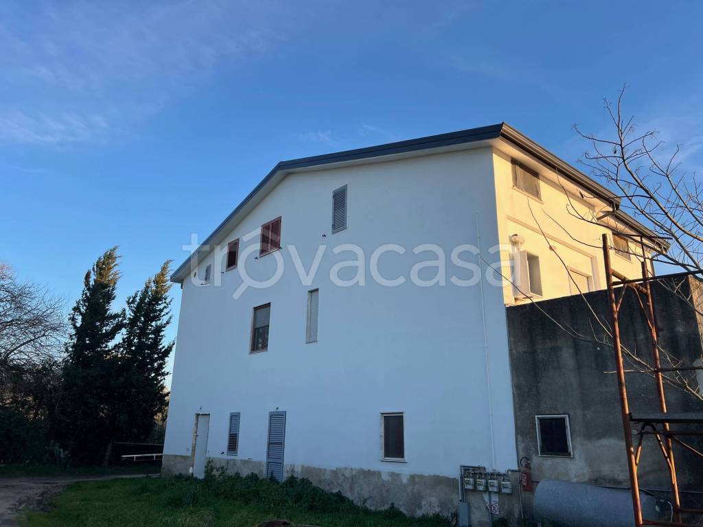 immagine annuncio 9 di 14