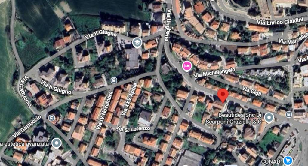 immagine annuncio 1 di 11