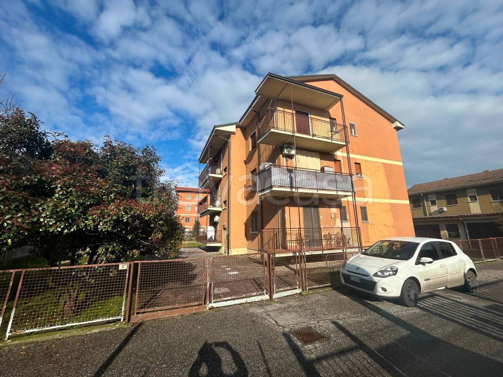 immagine annuncio 11 di 13