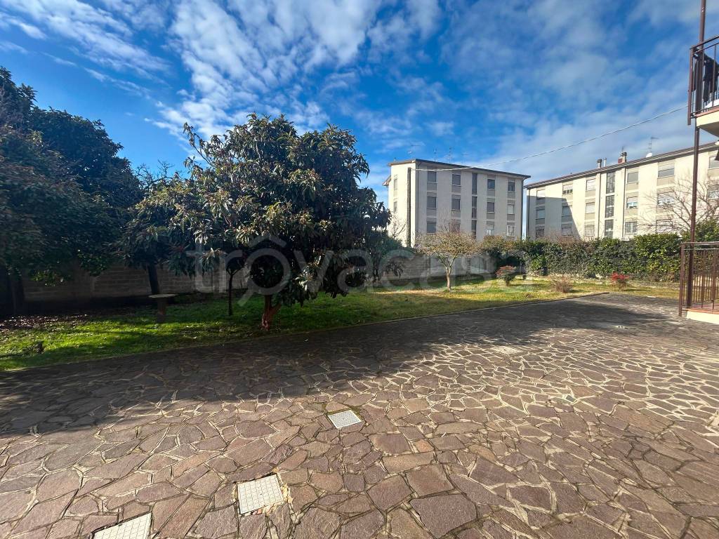 immagine annuncio 12 di 13