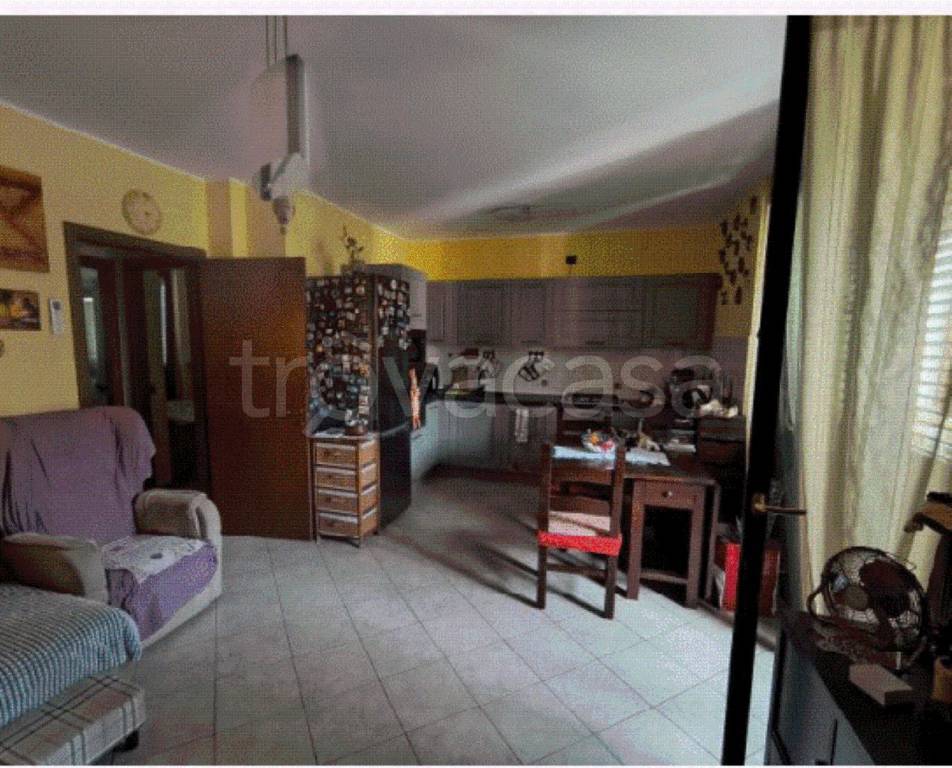 immagine annuncio 2 di 12