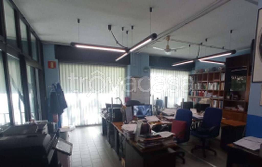 immagine annuncio 8 di 11