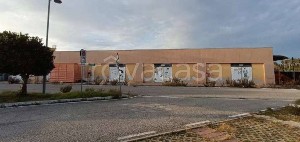 immagine annuncio 4 di 6