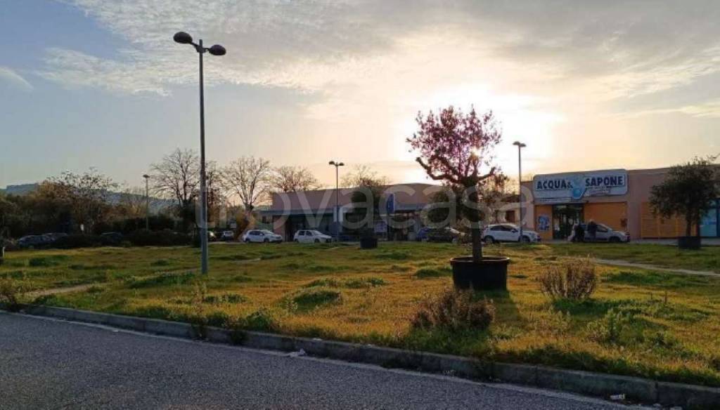 immagine annuncio 5 di 6