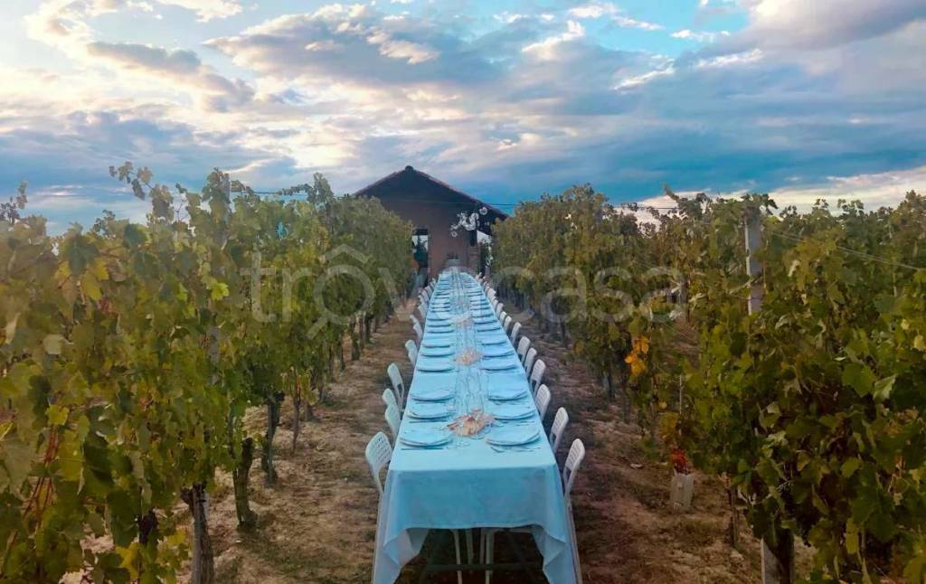 immagine annuncio 3 di 8