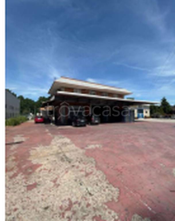 immagine annuncio 4 di 10