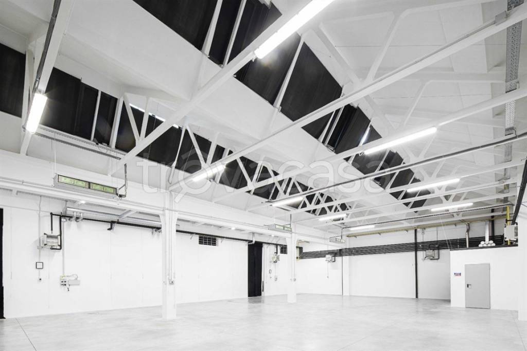 immagine annuncio 5 di 6