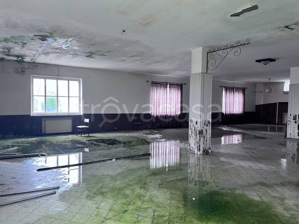 immagine annuncio 5 di 11