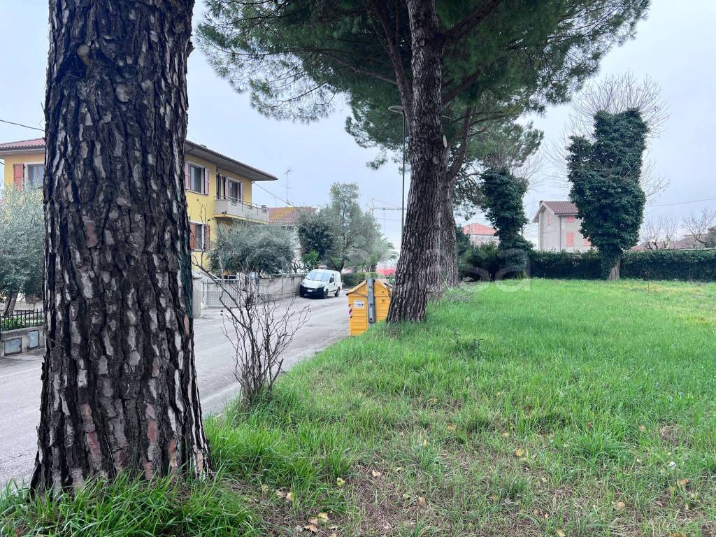 immagine annuncio 10 di 11