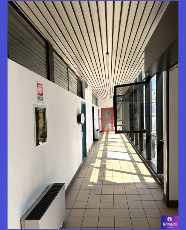 immagine annuncio 5 di 8