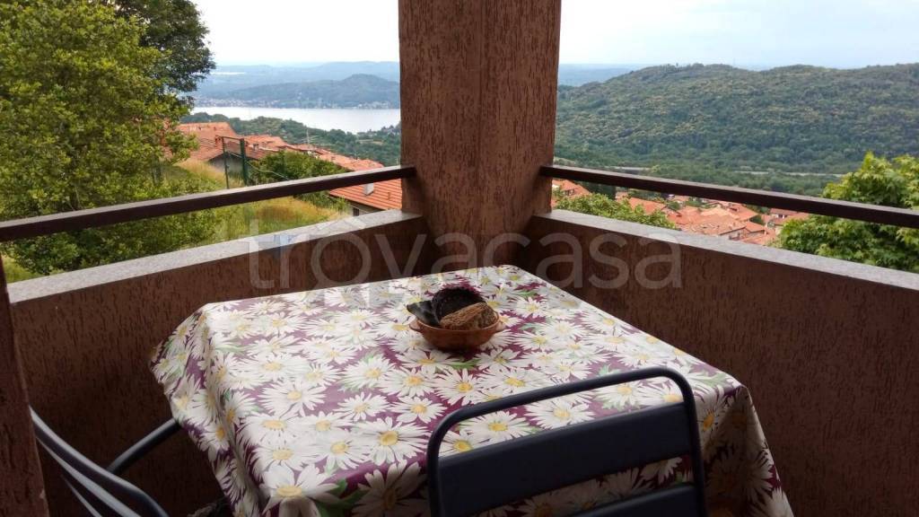 immagine annuncio 11 di 13