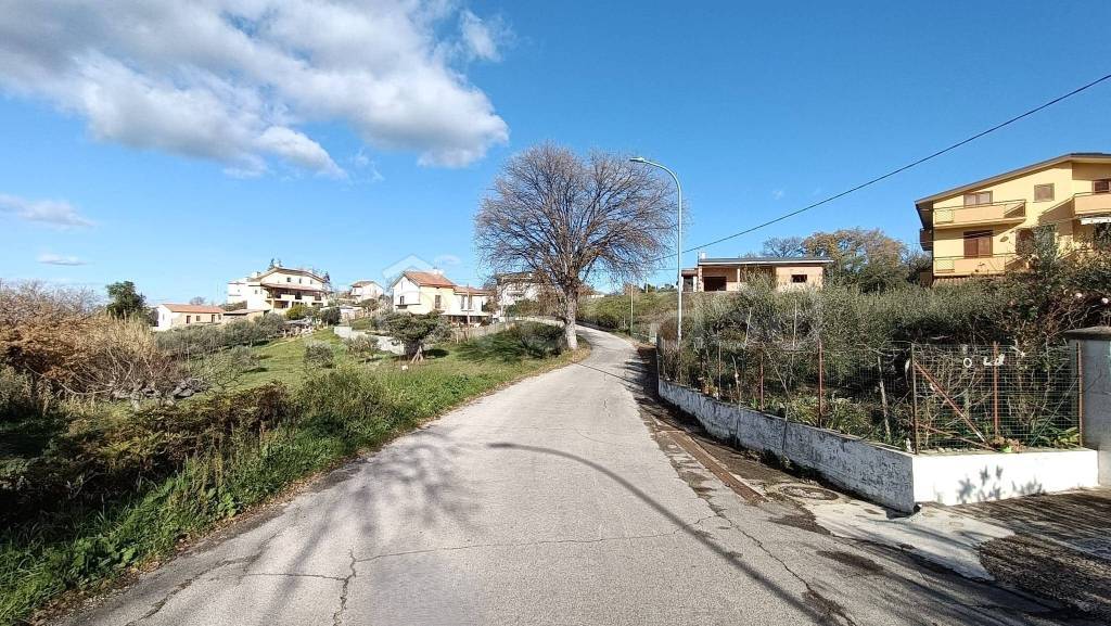 immagine annuncio 4 di 7