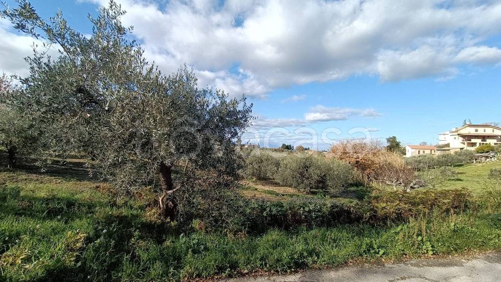 immagine annuncio 5 di 7