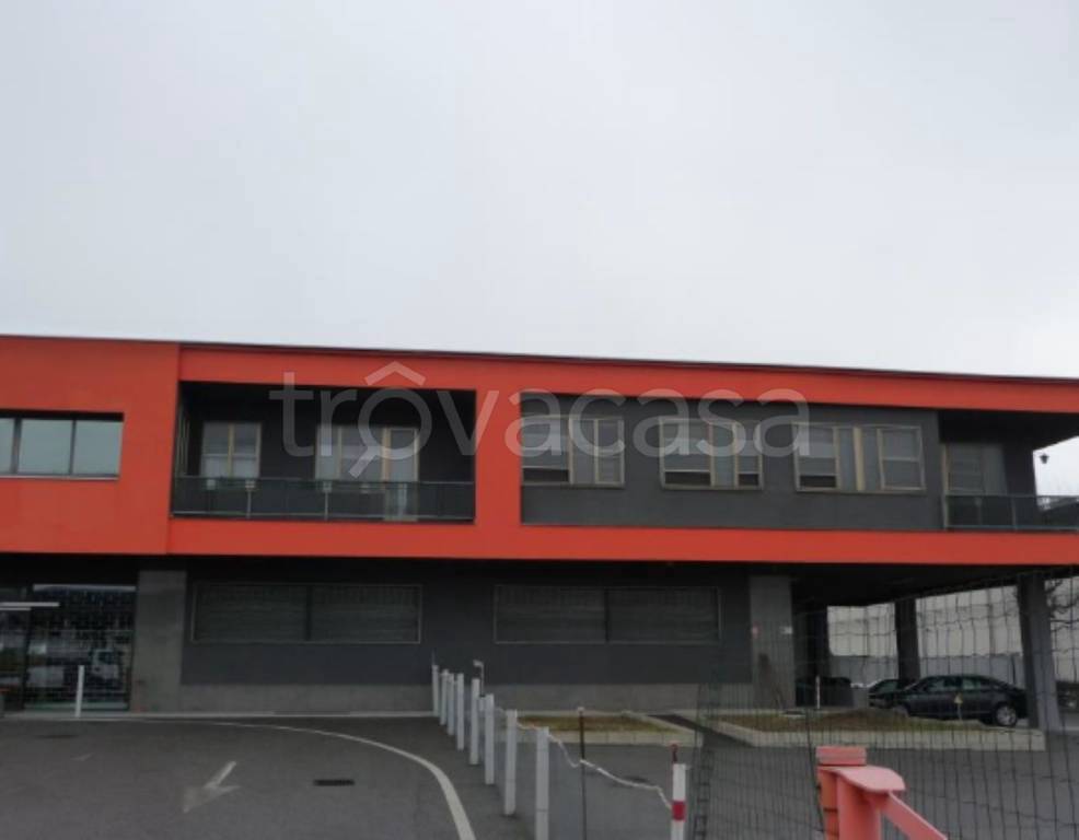 immagine annuncio 1 di 11