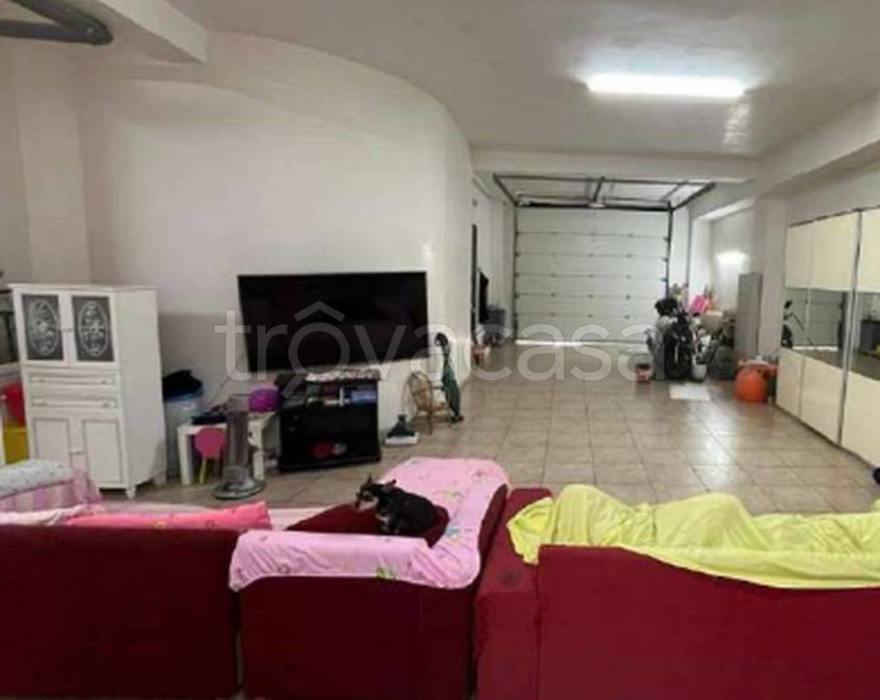 immagine annuncio 4 di 11