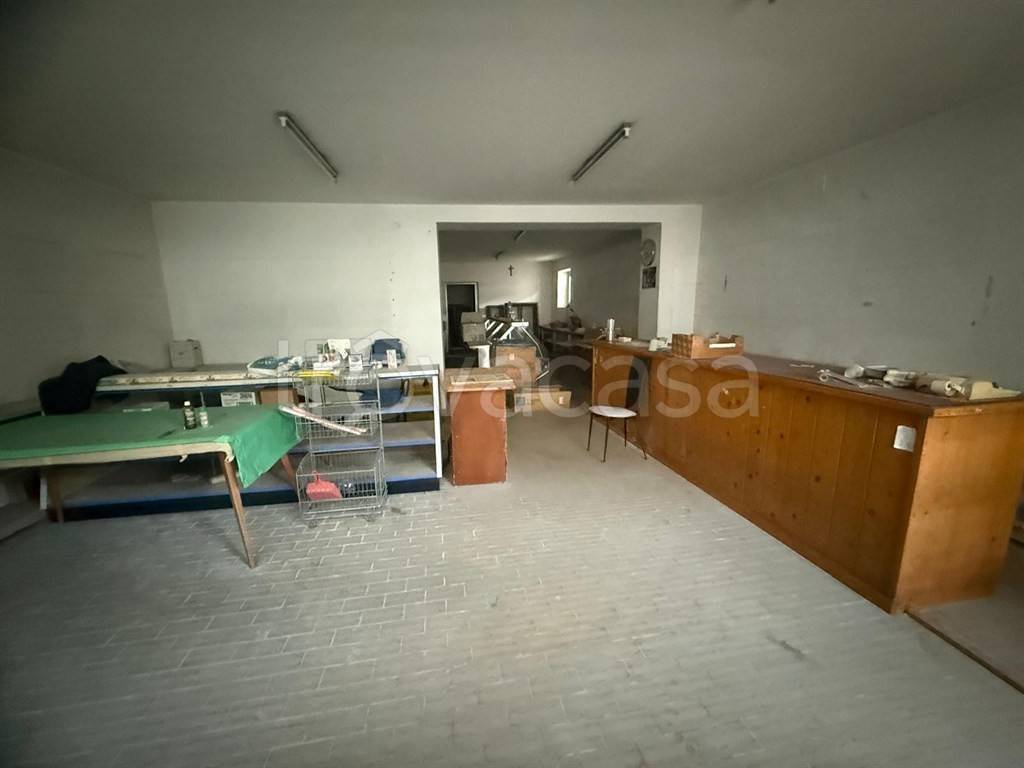 immagine annuncio 3 di 6