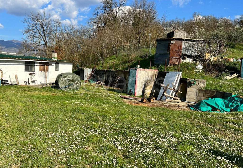 immagine annuncio 10 di 15