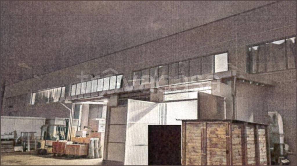 immagine annuncio 4 di 12