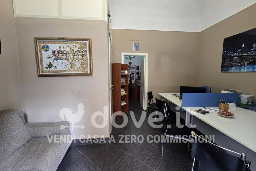 immagine annuncio 3 di 14