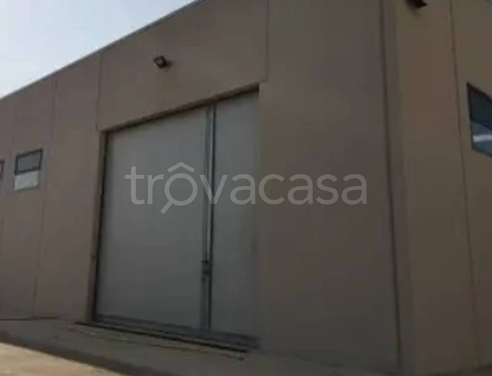 immagine annuncio 5 di 12