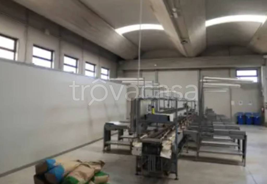 immagine annuncio 8 di 12