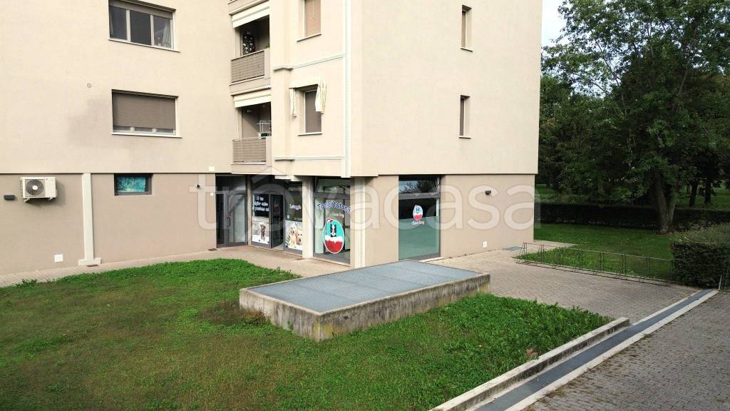 immagine annuncio 2 di 7