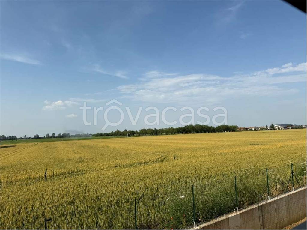 immagine annuncio 7 di 8