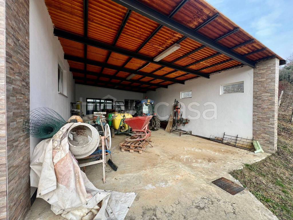 immagine annuncio 12 di 15