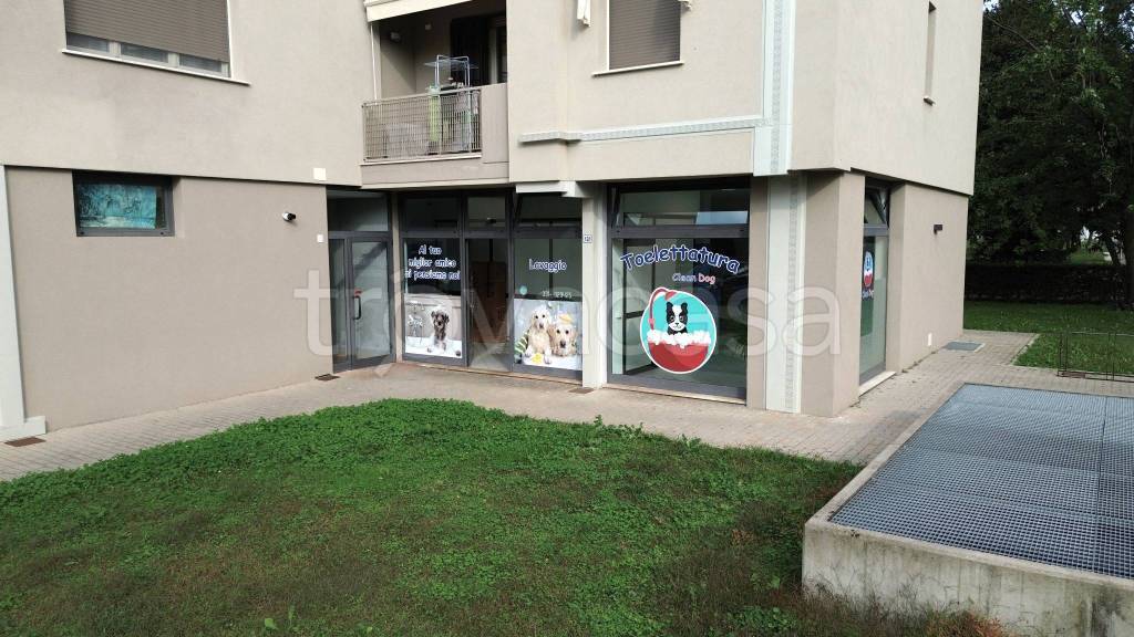 immagine annuncio 1 di 7