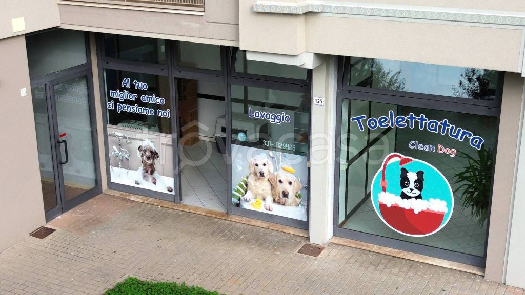 immagine annuncio 2 di 7