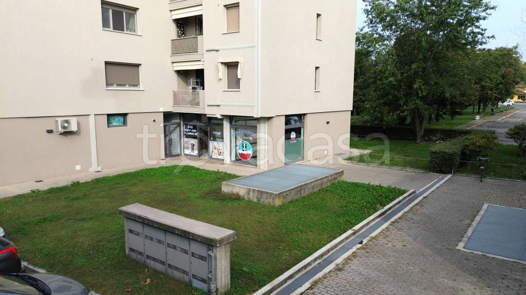 immagine annuncio 4 di 7