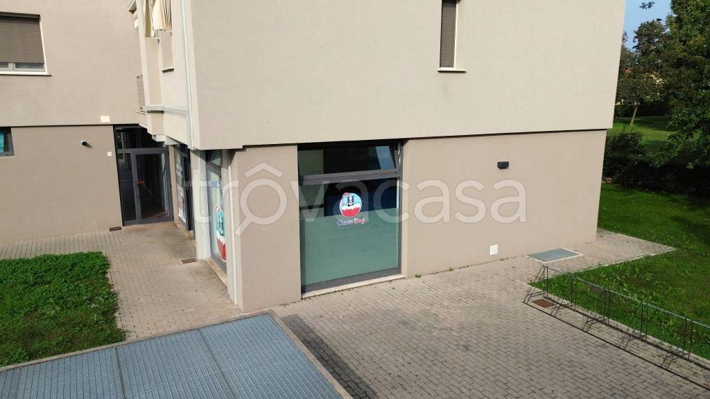 immagine annuncio 5 di 7