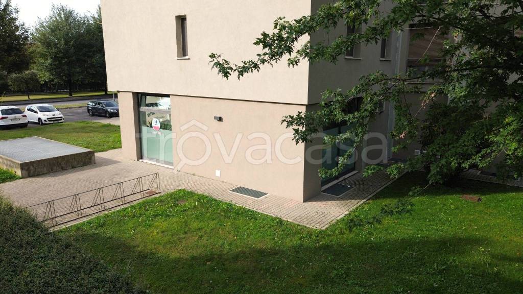 immagine annuncio 6 di 7