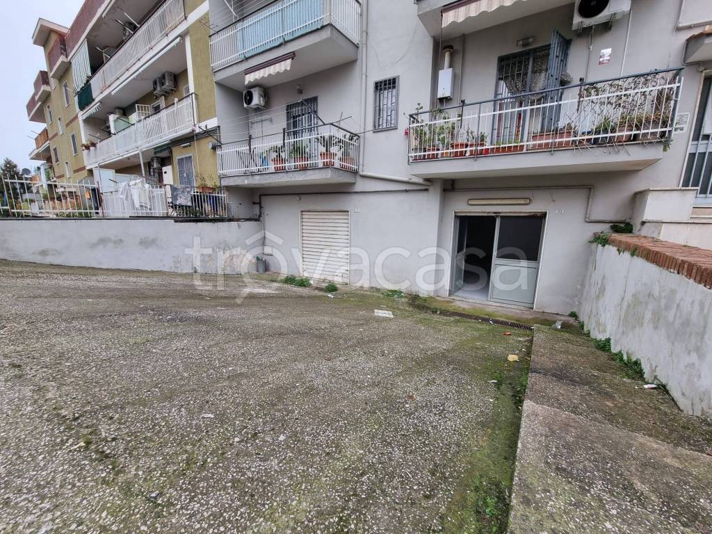 immagine annuncio 5 di 7