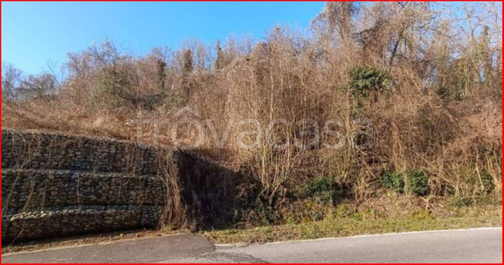 immagine annuncio 2 di 14