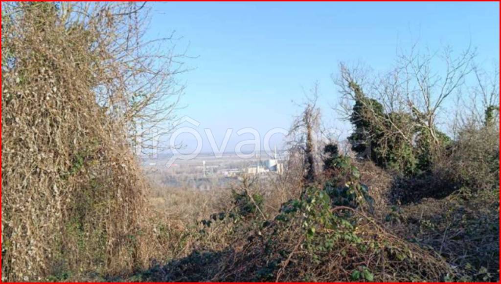 immagine annuncio 5 di 14