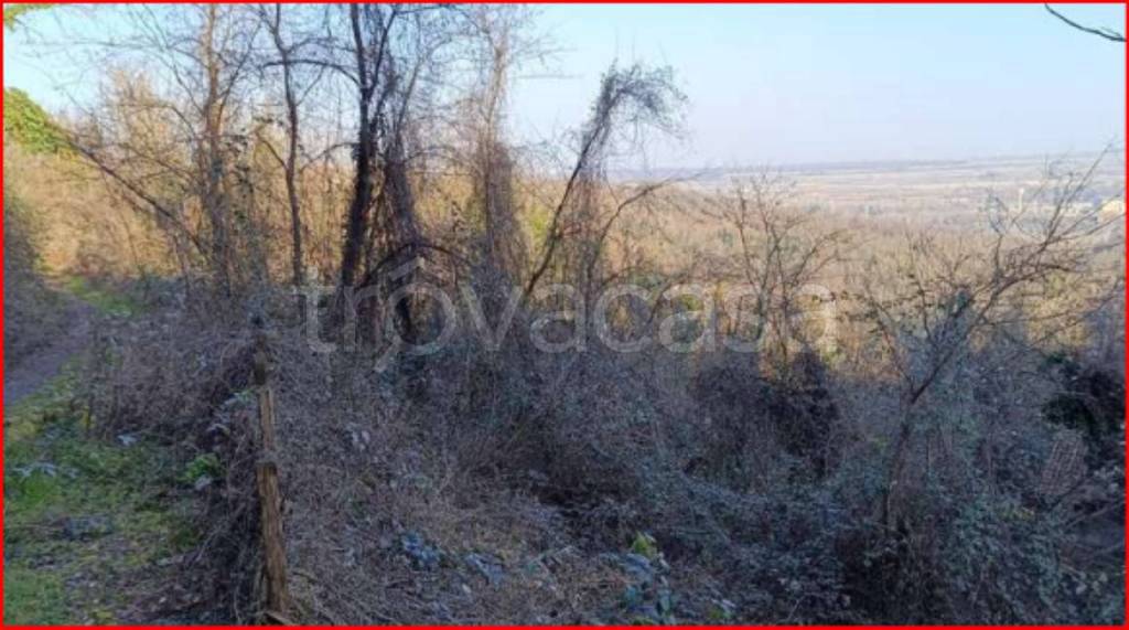 immagine annuncio 6 di 14