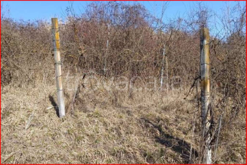 immagine annuncio 8 di 14