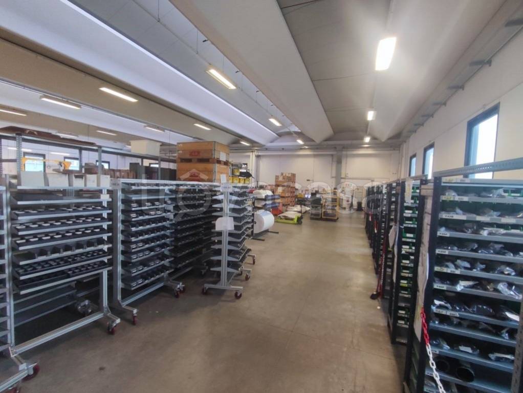 immagine annuncio 12 di 15