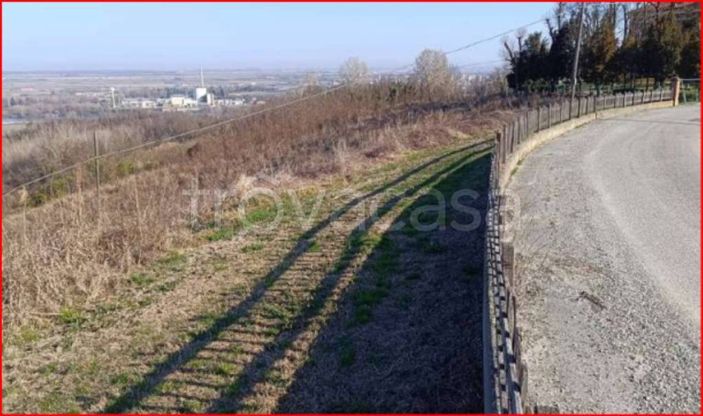 immagine annuncio 11 di 14