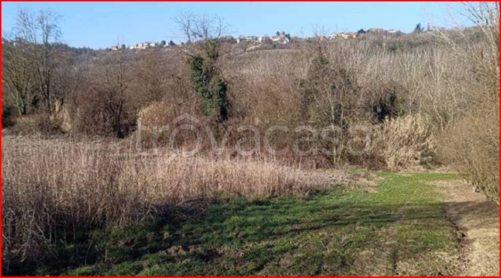 immagine annuncio 13 di 14