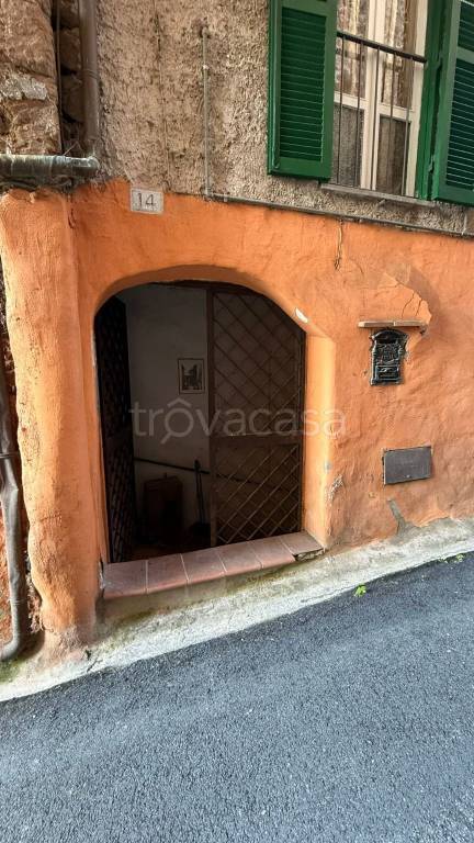 immagine annuncio 12 di 14