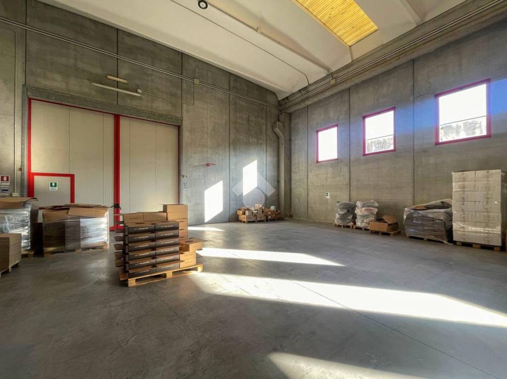 immagine annuncio 8 di 15