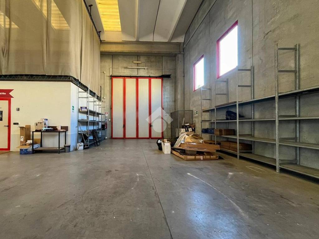 immagine annuncio 9 di 15